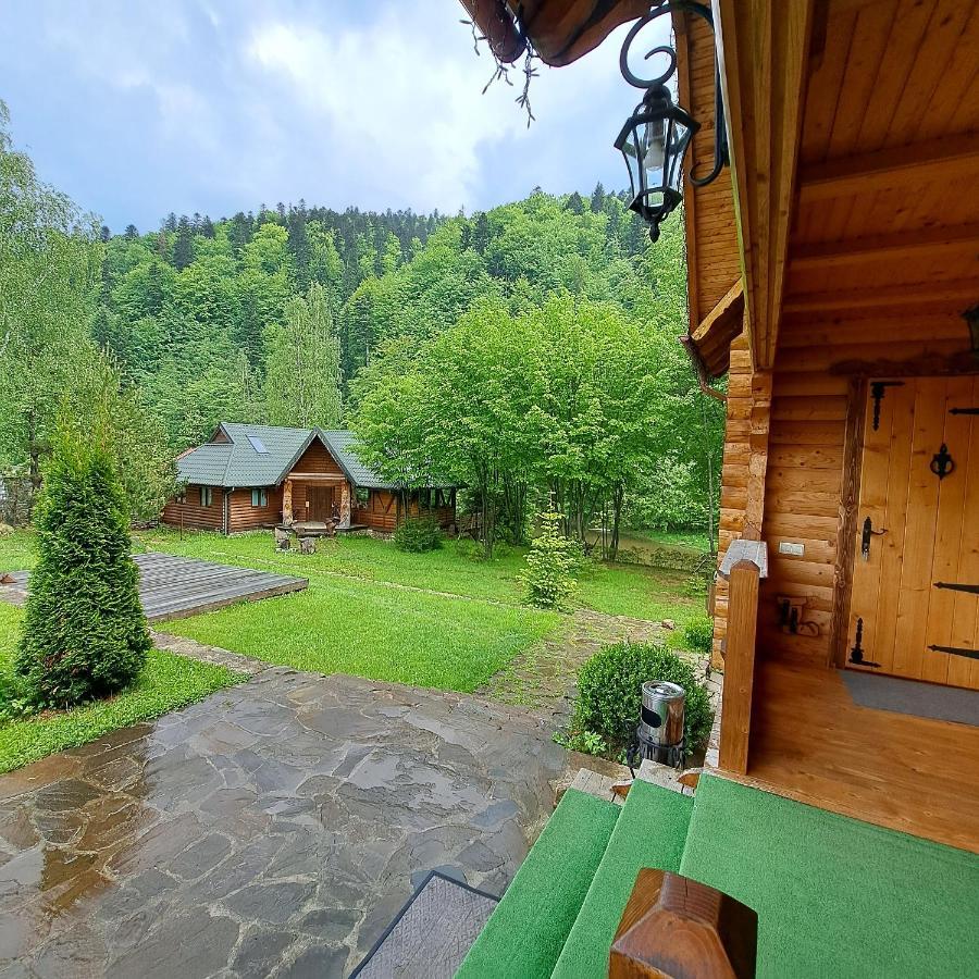 Зарінок Карпат Villa Mîkulîciîn Exterior foto