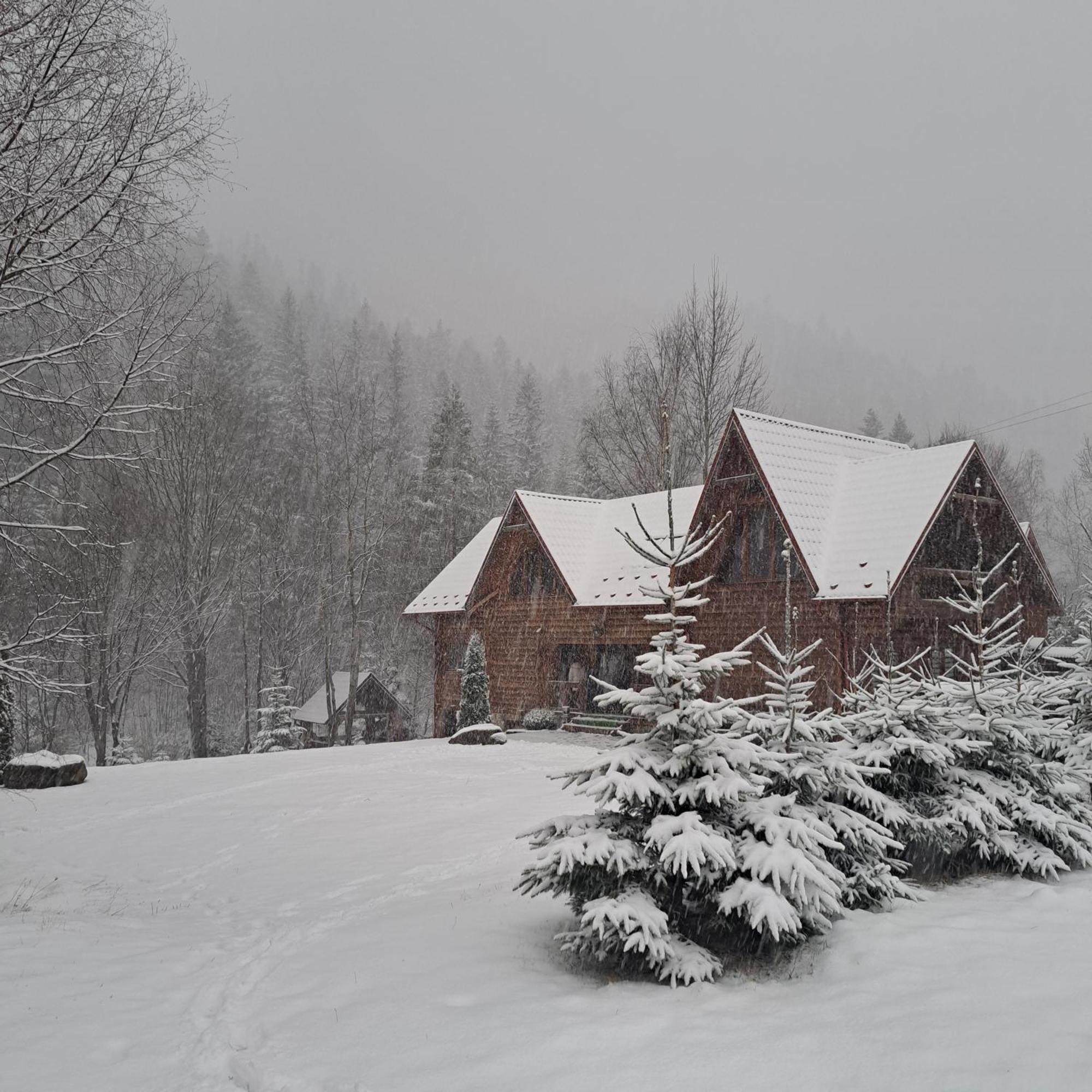 Зарінок Карпат Villa Mîkulîciîn Exterior foto